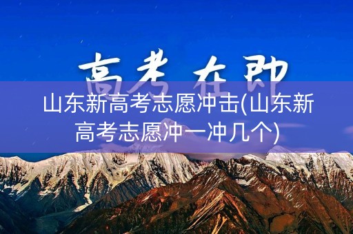 山东新高考志愿冲击(山东新高考志愿冲一冲几个)