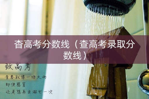 杳高考分数线（查高考录取分数线）