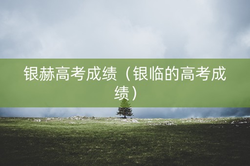 银赫高考成绩（银临的高考成绩）
