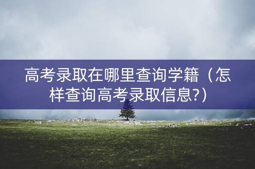 高考录取在哪里查询学籍（怎样查询高考录取信息?）