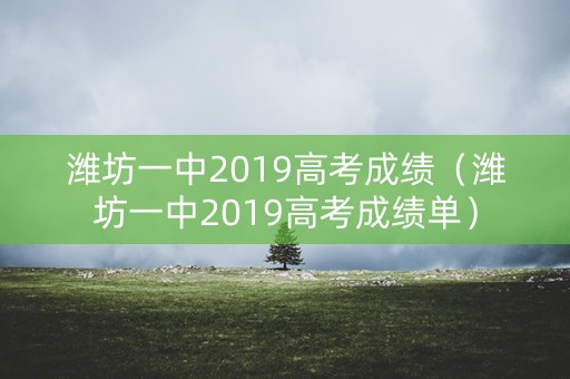 潍坊一中2019高考成绩（潍坊一中2019高考成绩单）