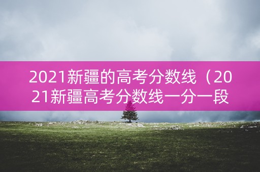 2021新疆的高考分数线（2021新疆高考分数线一分一段表）