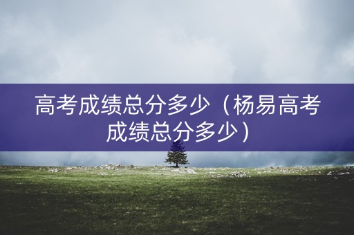 高考成绩总分多少（杨易高考成绩总分多少）