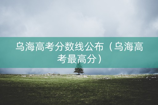 乌海高考分数线公布（乌海高考最高分）