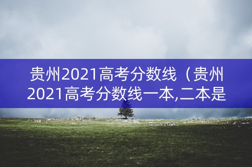 贵州2021高考分数线（贵州2021高考分数线一本,二本是多少）