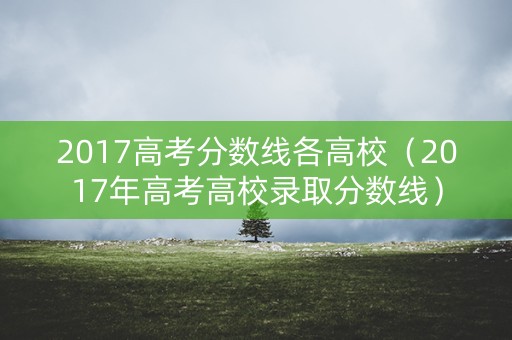 2017高考分数线各高校（2017年高考高校录取分数线）