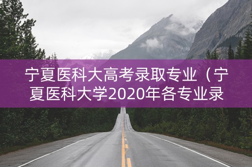 宁夏医科大高考录取专业（宁夏医科大学2020年各专业录取分）