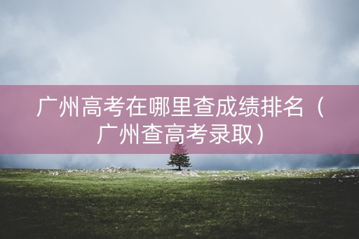 广州高考在哪里查成绩排名（广州查高考录取）