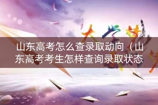 山东高考怎么查录取动向（山东高考考生怎样查询录取状态）