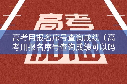 高考用报名序号查询成绩（高考用报名序号查询成绩可以吗）