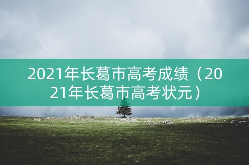 2021年长葛市高考成绩（2021年长葛市高考状元）