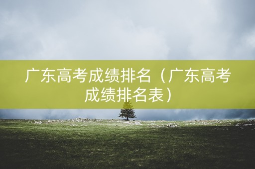广东高考成绩排名（广东高考成绩排名表）