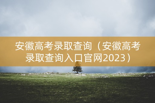 安徽高考录取查询（安徽高考录取查询入口官网2023）