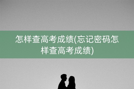 怎样查高考成绩(忘记密码怎样查高考成绩)