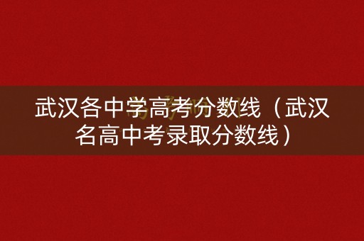 武汉各中学高考分数线（武汉名高中考录取分数线）