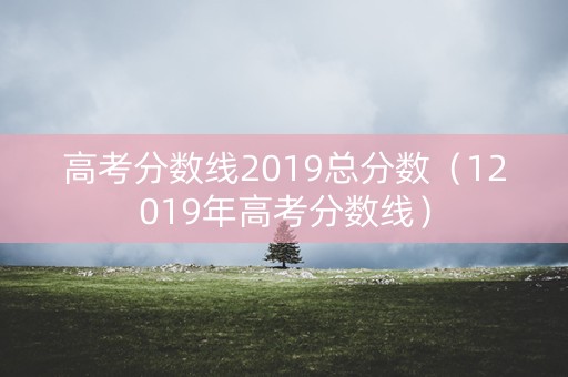 高考分数线2019总分数（12019年高考分数线）