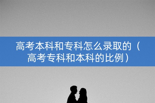 高考本科和专科怎么录取的（高考专科和本科的比例）