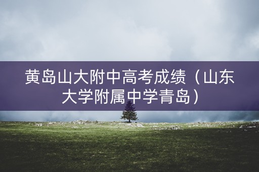 黄岛山大附中高考成绩（山东大学附属中学青岛）