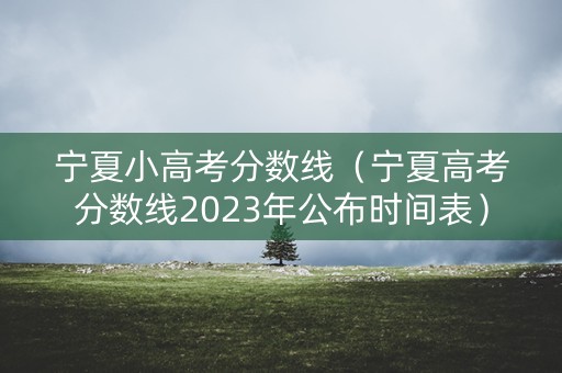 宁夏小高考分数线（宁夏高考分数线2023年公布时间表）