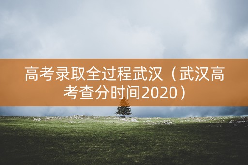 高考录取全过程武汉（武汉高考查分时间2020）