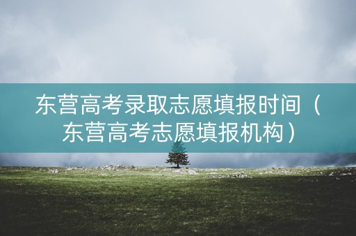 东营高考录取志愿填报时间（东营高考志愿填报机构）