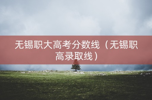 无锡职大高考分数线（无锡职高录取线）