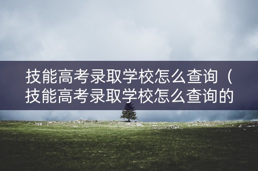 技能高考录取学校怎么查询（技能高考录取学校怎么查询的）