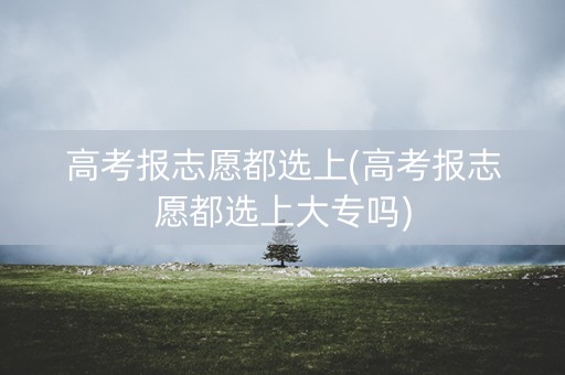 高考报志愿都选上(高考报志愿都选上大专吗)