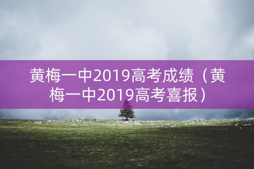 黄梅一中2019高考成绩（黄梅一中2019高考喜报）
