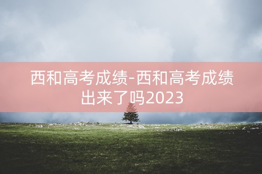 西和高考成绩-西和高考成绩出来了吗2023