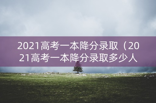 2021高考一本降分录取（2021高考一本降分录取多少人）