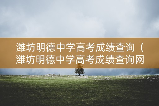 潍坊明德中学高考成绩查询（潍坊明德中学高考成绩查询网站）