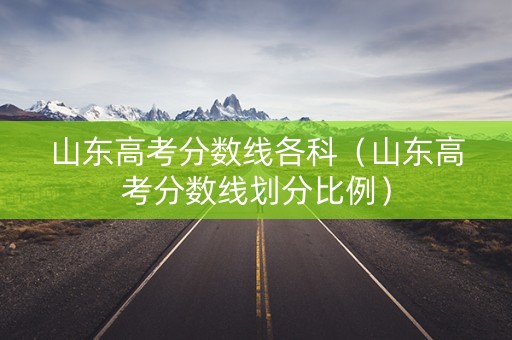 山东高考分数线各科（山东高考分数线划分比例）