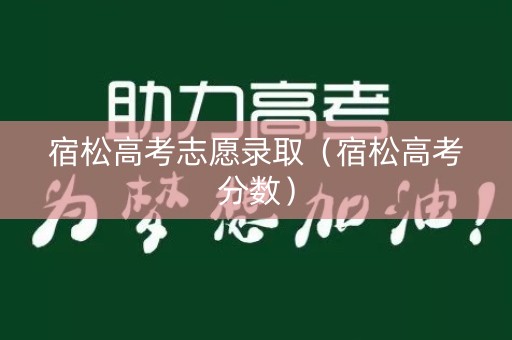宿松高考志愿录取（宿松高考分数）
