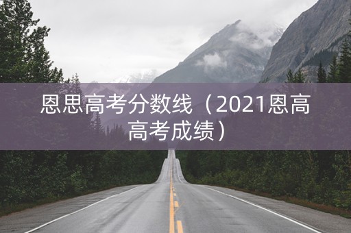 恩思高考分数线（2021恩高高考成绩）