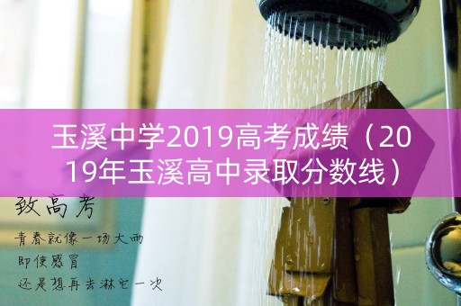 玉溪中学2019高考成绩（2019年玉溪高中录取分数线）