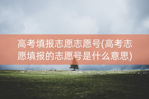 高考填报志愿志愿号(高考志愿填报的志愿号是什么意思)