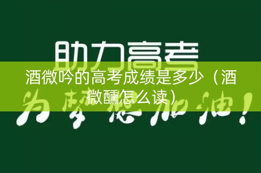酒微吟的高考成绩是多少（酒微醺怎么读）