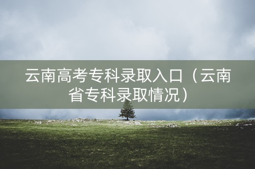 云南高考专科录取入口（云南省专科录取情况）