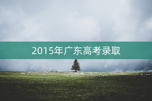 2015年广东高考录取
