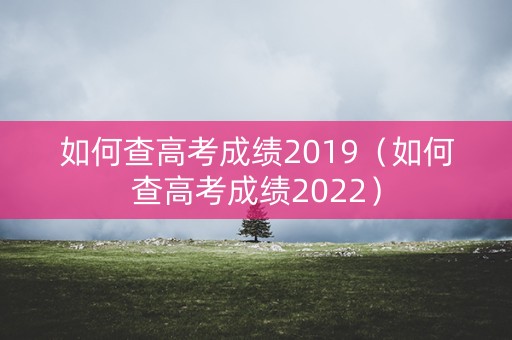 如何查高考成绩2019（如何查高考成绩2022）