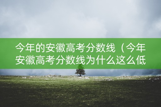 今年的安徽高考分数线（今年安徽高考分数线为什么这么低）