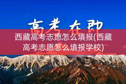 西藏高考志愿怎么填报(西藏高考志愿怎么填报学校)