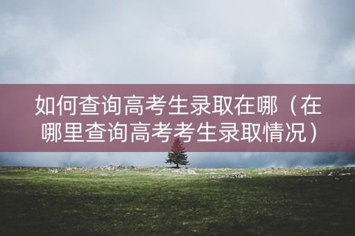 如何查询高考生录取在哪（在哪里查询高考考生录取情况）