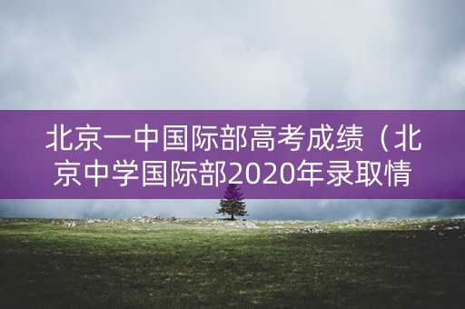 北京一中国际部高考成绩（北京中学国际部2020年录取情况）