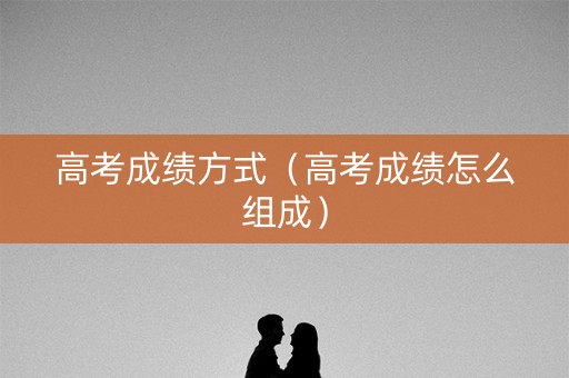 高考成绩方式（高考成绩怎么组成）