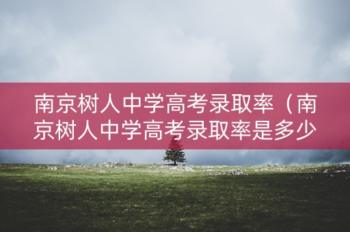 南京树人中学高考录取率（南京树人中学高考录取率是多少）