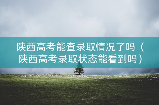 陕西高考能查录取情况了吗（陕西高考录取状态能看到吗）