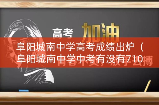 阜阳城南中学高考成绩出炉（阜阳城南中学中考有没有710分以上的学生）