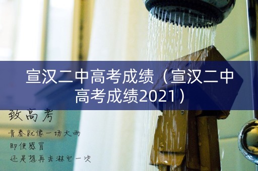 宣汉二中高考成绩（宣汉二中高考成绩2021）